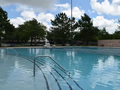 a swimming pool