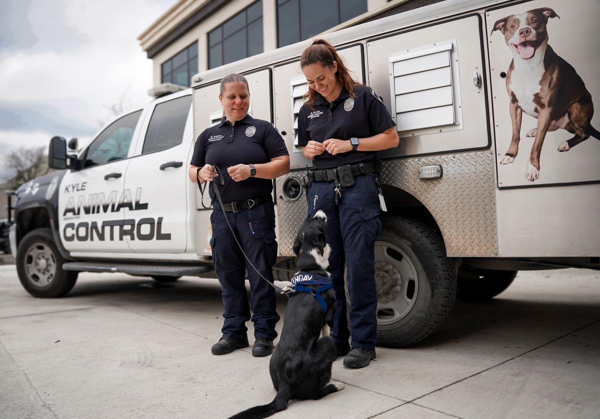 Animal Control